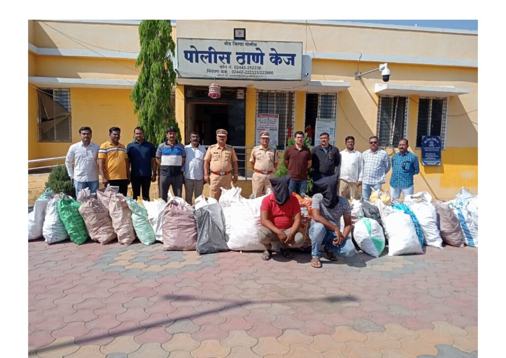 केज पोलीसांची मोठी कारवाई; तब्बल १२किलो चंदन जप्त दोन आरोपी ताब्यात